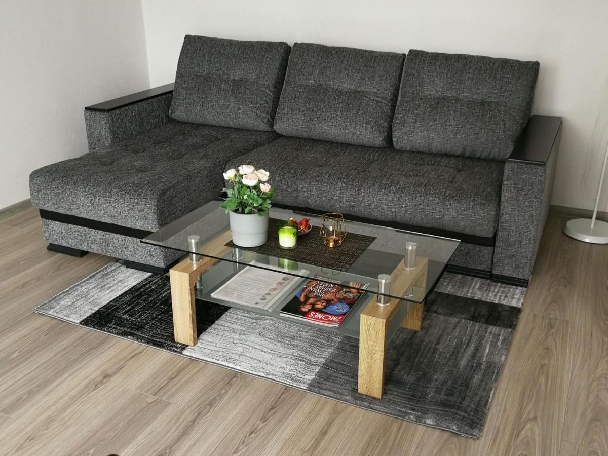 Draugystes Apartment Šiauliai Extérieur photo